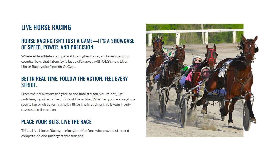 olg-horse-racing-live